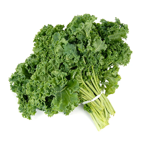 Coriander