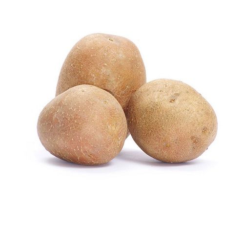 Potato
